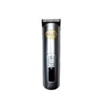 Dingling RF-696 Professional Hair Clipper
